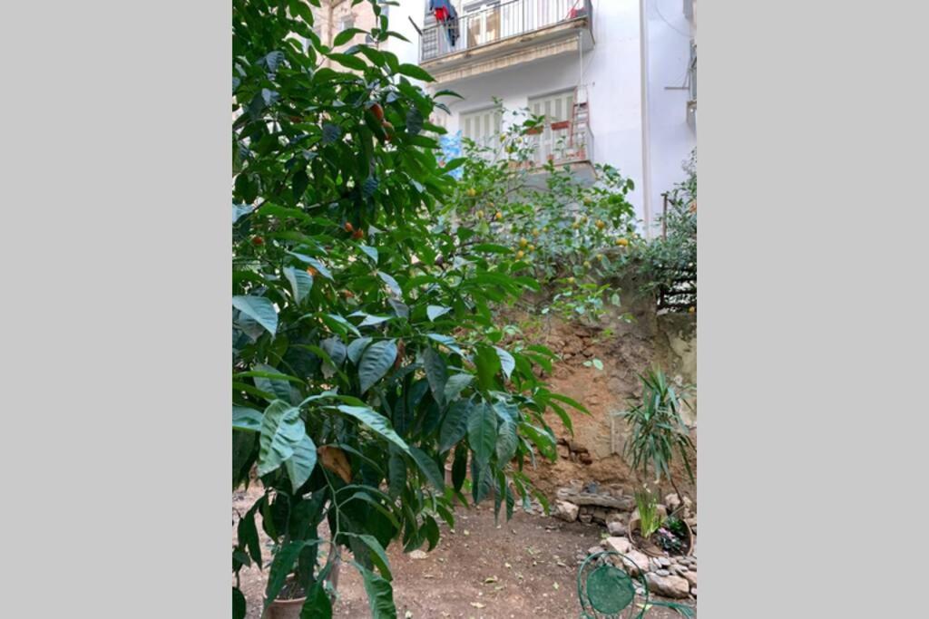 Quiet And Central Flat With Private Backyard Garden 아테네 외부 사진