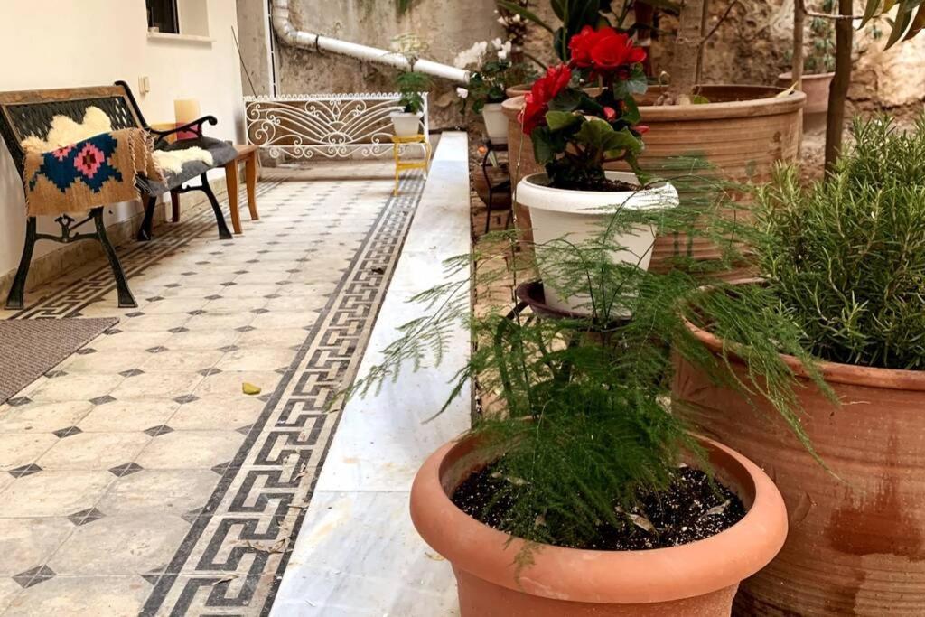 Quiet And Central Flat With Private Backyard Garden 아테네 외부 사진