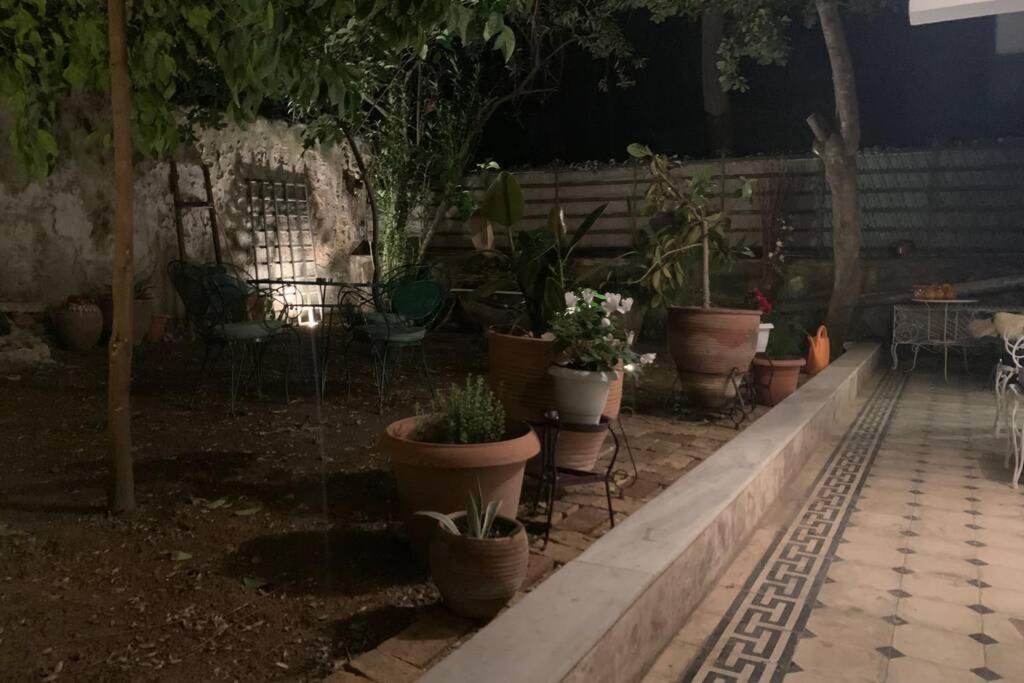 Quiet And Central Flat With Private Backyard Garden 아테네 외부 사진
