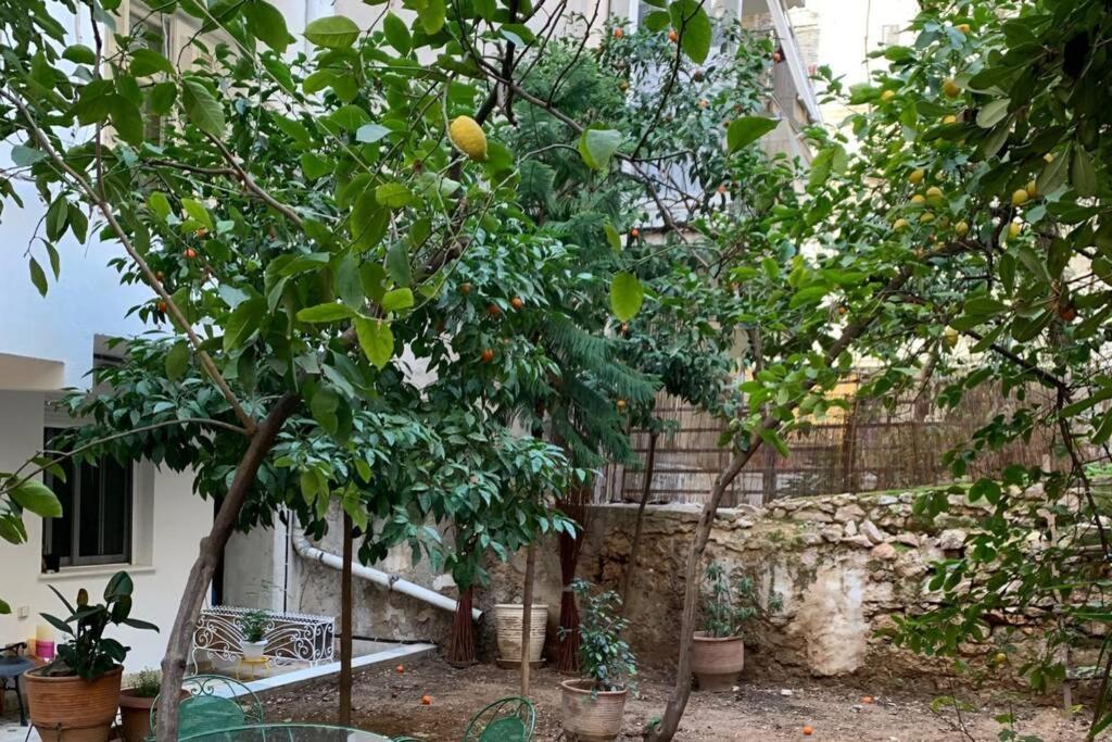 Quiet And Central Flat With Private Backyard Garden 아테네 외부 사진